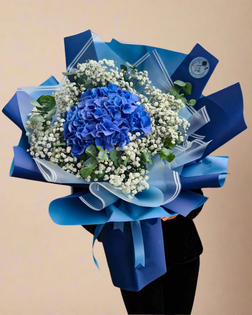 Kytice modrých Hortenzií a gypsophila - Černá Růže