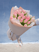 Kytice růžových tulipánů se hezkou - Černá Růže