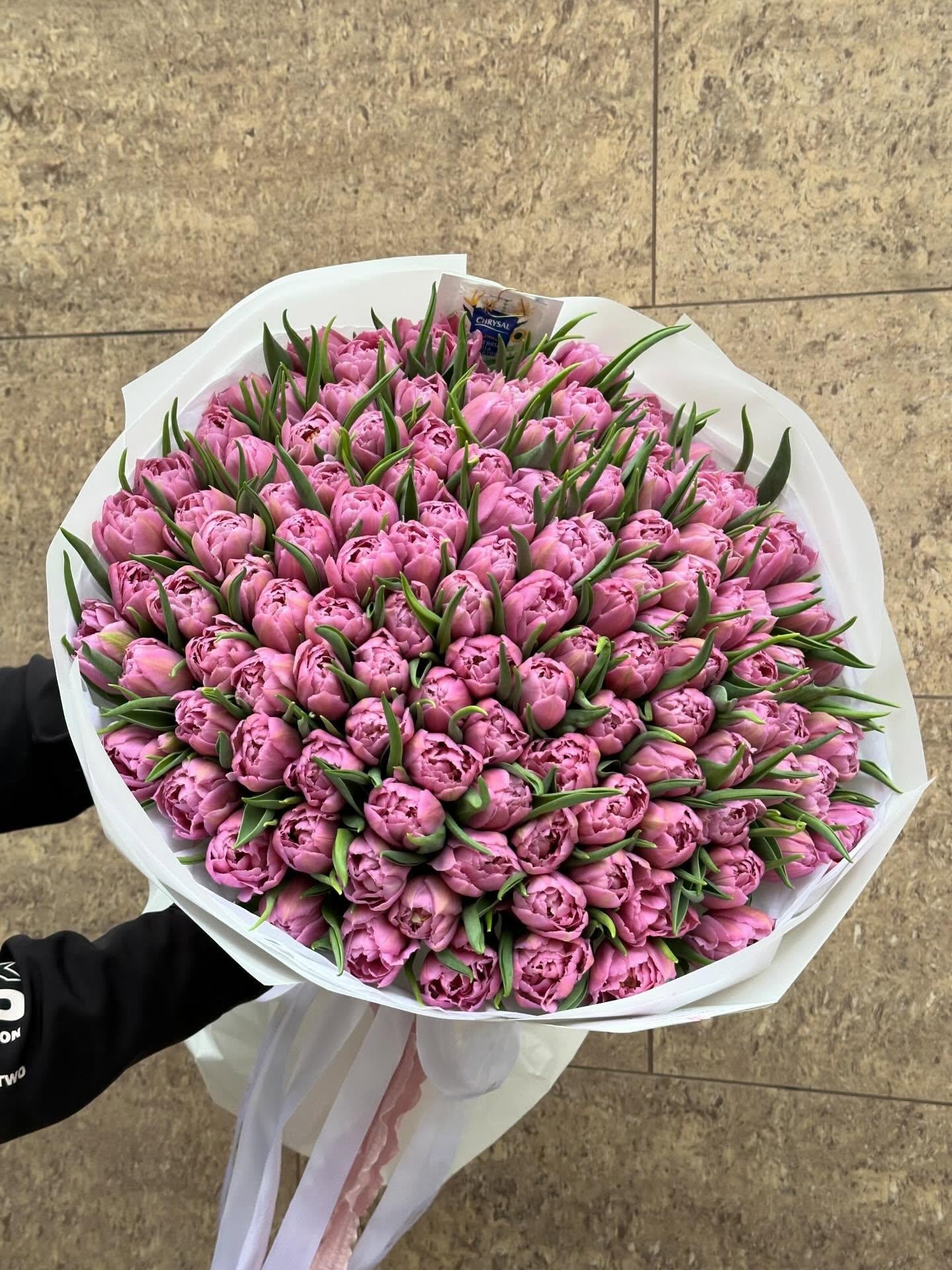 Kytice 101 tulipánů 