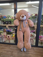 Teddy bear - Černá Růže