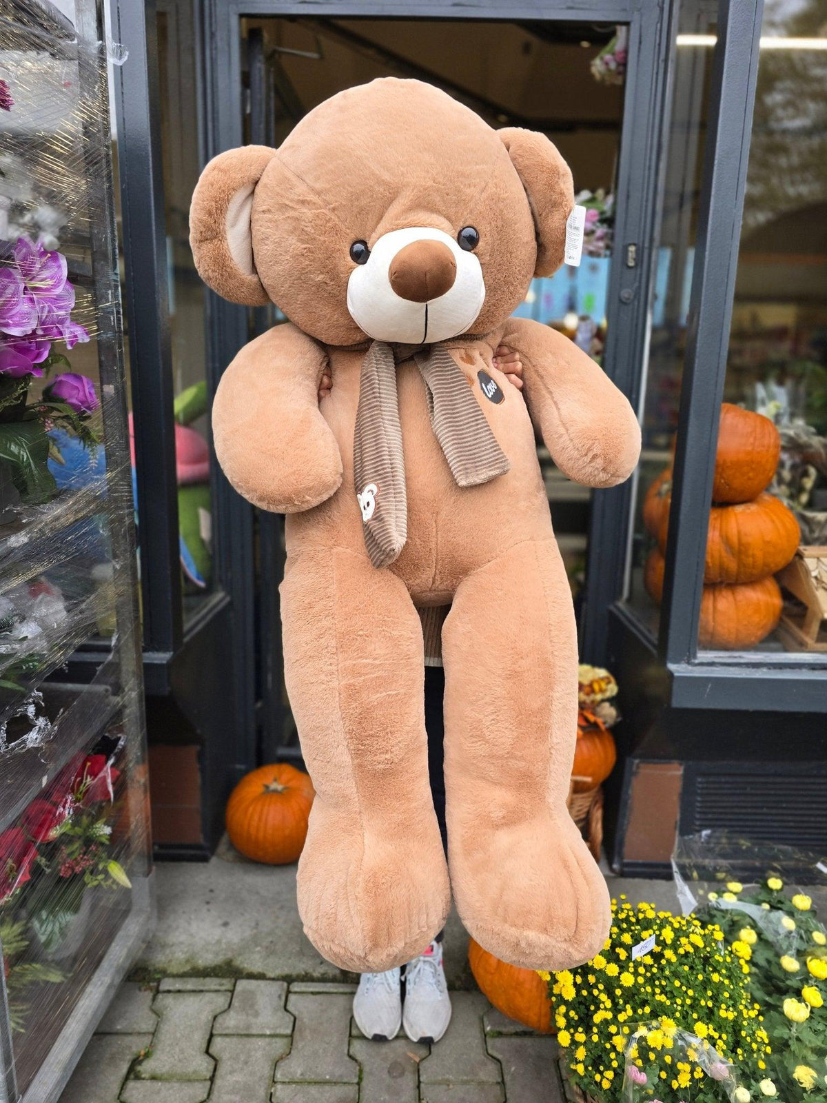 Teddy bear - Černá Růže